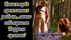Каких трех проклятых рабынь, лично себе купила Хюррем Султан? Великолепный век Интриганка