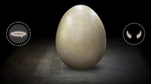 Вот почему НЕЛЗЯ ПОКУПАТЬ СЕМЕНА НА АВИТО !