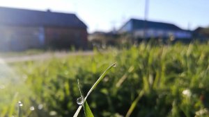 Утро в селе,будни деревенщины!