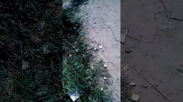 Краш тест дыни