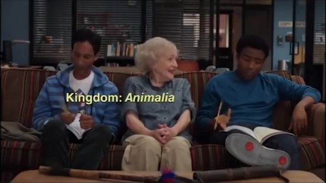 Abed and Troy & Betty White raps, both mixed together awesome (Community tv show) смотреть онлайн