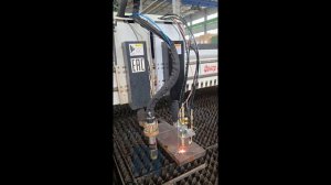 Плазменный станок с ЧПУ IGNIS 12000