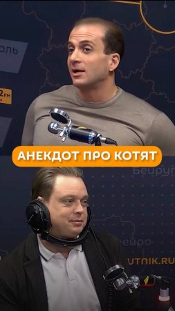 Анекдот про котят