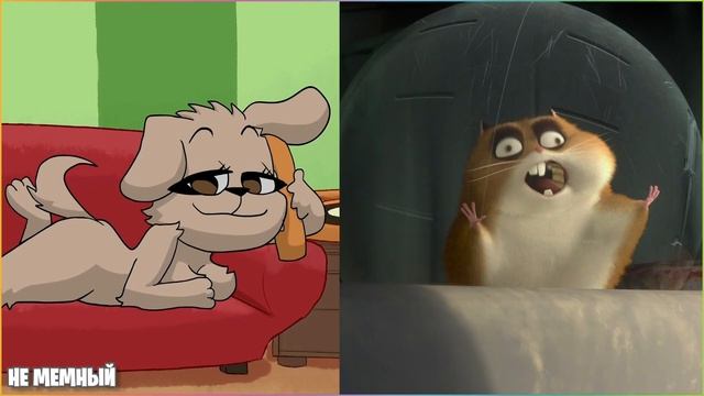 Белла оценивает хомяков: смотреть онлайн