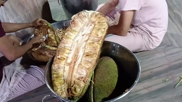 Джекфрут гигантских размеров.🌵 смотреть онлайн