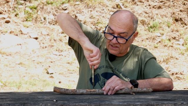 Taxus Wisdom te cuento sus secretos y hacemos unas pruebas. смотреть онлайн