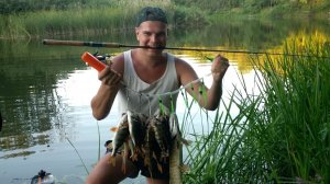 Весёлая рыбалка на реке Сок таскаем густеру,плотву,подлещиков и конечно окуней