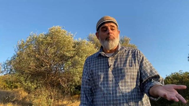 Mahdi as a Yunus (Malhama & the Mahdi) смотреть онлайн