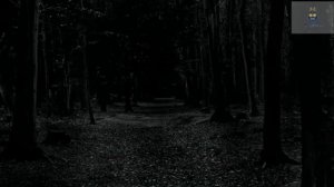 Свинка Пеппа. Новые серии. УЖАСТИКИ! ДУХИ ЛЕСА 1 ПЕППА И ДЖОРДЖ ОЧЕНЬ СТРАШНО! Peppa PIG.