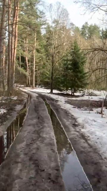Дорога  к Усадьбе НиемиКаннельярвиЛен.область 1 апреля2024shortvideo