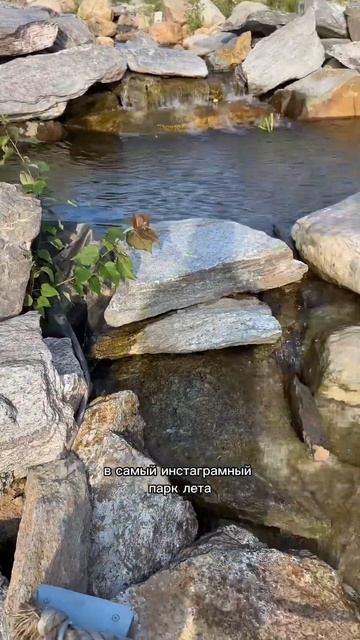 📍 ландшафтный парк Малевича #reels #паркимосквы #локациимосква #локациидляфото #визуал #контент смотреть онлайн