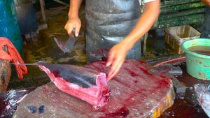 TECHNIQUES BABY TUNA FISH CUTTING SKILLS || FAST PERFECT CUTTING || FISH MARKET ACEHNESE🔪🔥