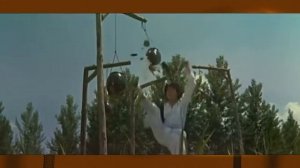 АЗИАТСКИЕ БОЙЦЫ - ДОН ВОНГ(Don Wong Tao)