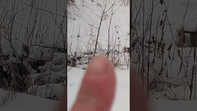 Немного обо всем по пути домой смотреть онлайн