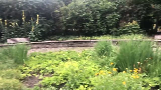 КАМЕННАЯ СКУЛЬПТУРА