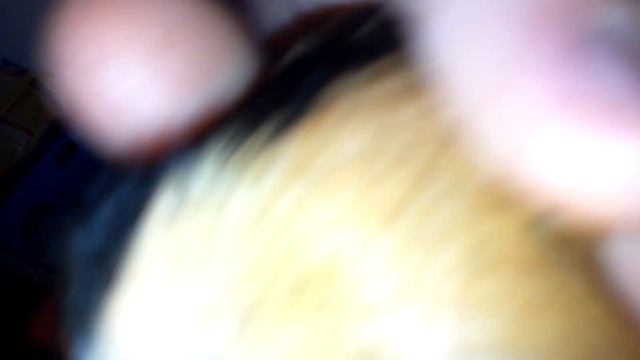 Как я начинал канал и морская свинка спустя неделя смотреть онлайн