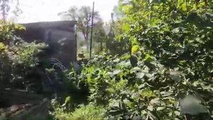 31 августа 2024 г..mp4