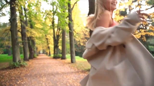 Клены выкрасили город