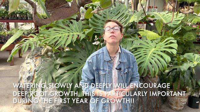 The Benefits of Native Plants | Native Plants Landscaping Colorado | Gardening with Native Plants смотреть онлайн