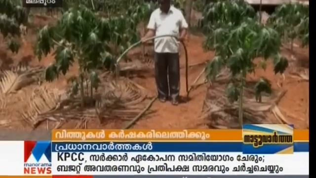 Red Lady Papaya Cultivation in Malappuram -Manorama News смотреть онлайн