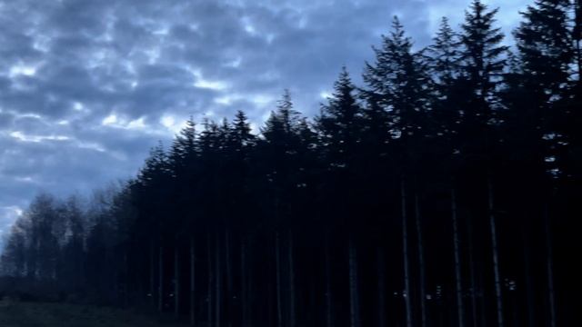 DERELICTE, EL BIOCLIP смотреть онлайн