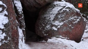 Видеозарисовка «Зима в Монрепо»