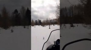 снегоход ирбис сф 200 сл...