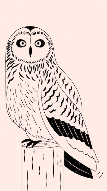 Ястребинная сова 🦉 В дикой природе