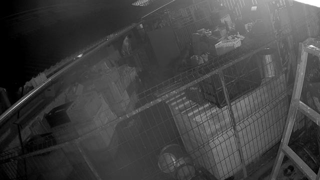 Ворую и буду воровать! смотреть онлайн