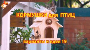 Кормушка для птиц своими руками как сделать пошагово  (19) 🪚🪛🔨 Идеи для дачи и сада❣️