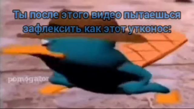 Утконос Пери обыграл Boy Frend в флекс батле смотреть онлайн