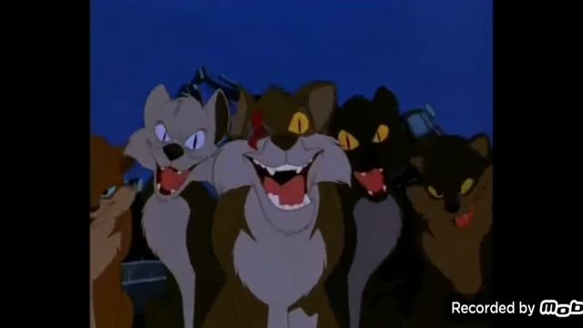 jungledyret hugo. Hugo chase by the cats смотреть онлайн