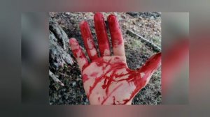 Чок Сары Кая и Построфиль Крым 20