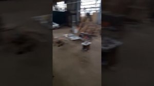 Линия по переработке чечевицы 2