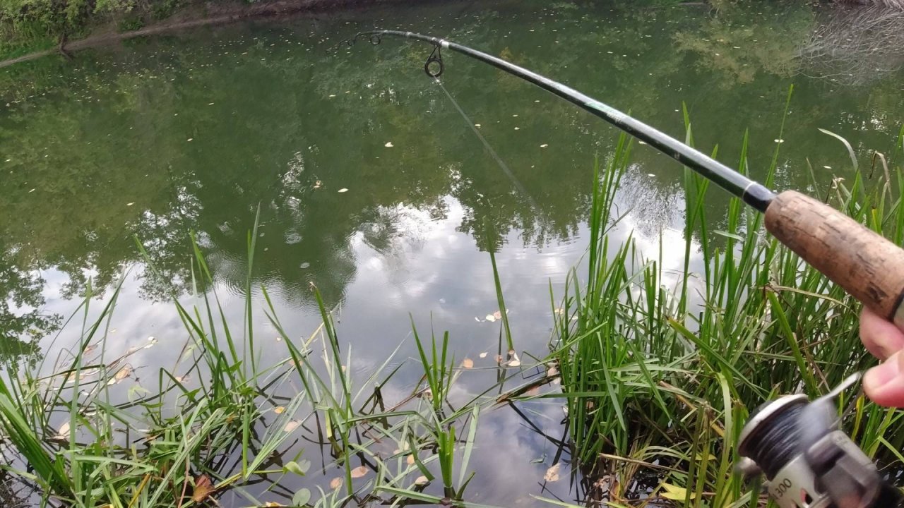 Нашли то самое место с Крупной Рыбой на реке Сок смотреть онлайн