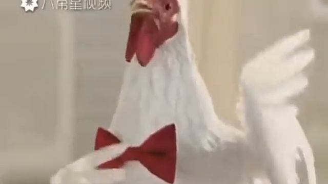 Кур-кур-кур
