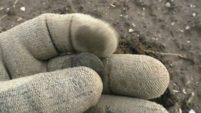 ПРАВИЛЬНОЕ ПОЛЕ ДЛЯ КОПА! СТАРЫЕ НАХОДКИ!