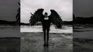 Ram, RAYBAX - Black Hawk