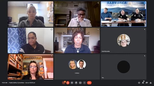 Public Safety Committee смотреть онлайн