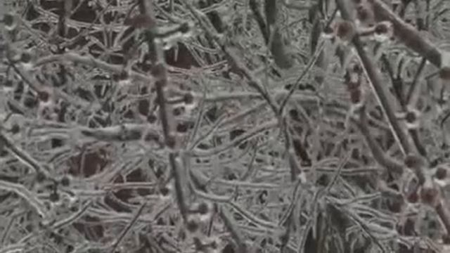 Ice Storm Ashtabula Ohio 2008 смотреть онлайн