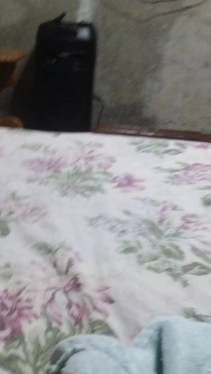 игра в roblox с PlayStation 5