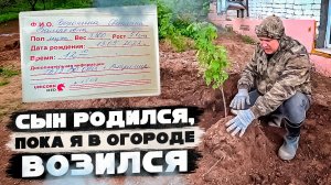 Родился сын пока я копался в огороде