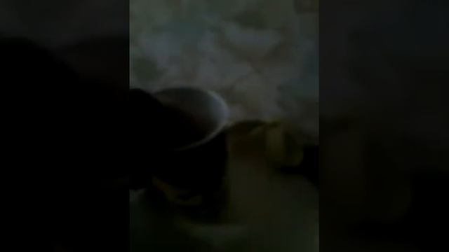 Мисс Маргарита открывает игрушки из Kinder Surprise смотреть онлайн