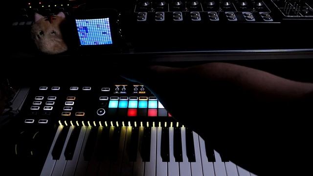 Basic Sequencing Pt. 2 ⧸⧸ Novation Remote SL Mk3 Tutorial