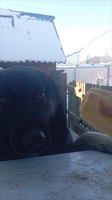 Перекус смотреть онлайн