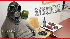 S.T.A.L.K.E.R. 2: Heart of Chornobyl - Схватка Сталкеров #funny