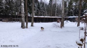Выдержка на подаче