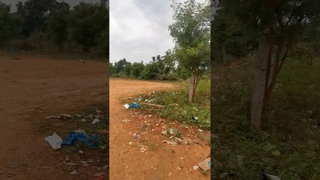 Отправить смотреть онлайн