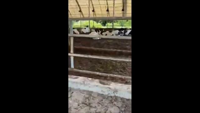 МЫ ЖИВЁМ В МИРЕ ЛЖИ смотреть онлайн