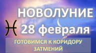 🌙НОВОЛУНИЕ ♓️|28 ФЕВРАЛЯ| ПРОГНОЗ ДЛЯ ВСЕХ